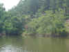 DSC05595_Medium.JPG (95483 bytes)