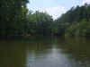 DSC05599 (Medium).JPG (75444 bytes)