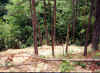 LAND13.jpg (29921 bytes)